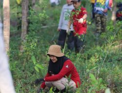 Dua Hari Tanam 1100 Bibit Aneka Ragam di Areal Forest City Pemprov Kalsel