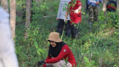 Dua Hari Tanam 1100 Bibit Aneka Ragam di Areal Forest City Pemprov Kalsel