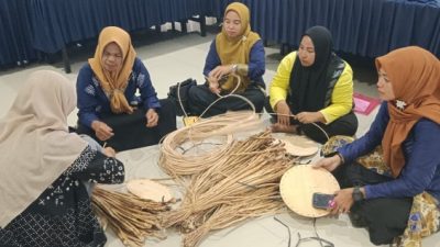 Pemberdayaan Ekonomi Warga Desa Lok Baintan Melalui Pemanfaatan Eceng Gondok