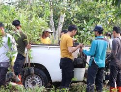 Revousi Hijau Berlanjut, Tanam Seribu Bibit Pulai di Kawasan Forest City