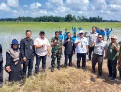 Dorong Percepatan PAT, Kementan Kawal Pompanisasi dan Tusip di Tanah Bumbu