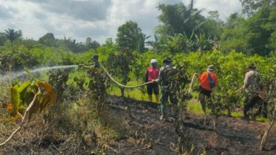 BPBD Kabupaten Banjar Tanggulangi Karhutla di Desa Mali Mali dan Sungai Sipai