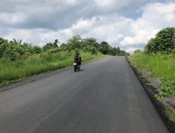 Paman Birin Meninjau Kondisi Jalan Bebas Hambatan Batulicin Banjarbaru