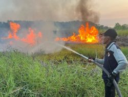 Tujuh Kecamatan di Kabupaten Banjar Mengalami Karhutla