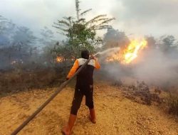 Karhutla Hanguskan Seluas Lima Hektare Lahan di Kecamatan Martapura