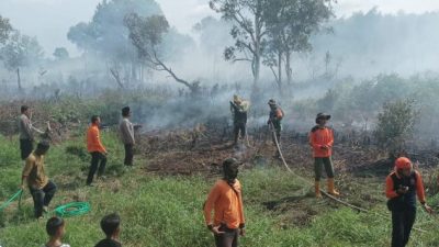 KarhutIa di Desa PenggaIaman Berdekatan Dengan SMK Maa’rif NU Martapura