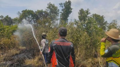 Lima Hektare Lahan Terbakar di Desa Kayu Bawang Kecamatan Gambut