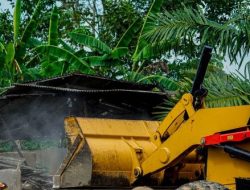 Pembongkaran Kandang Babi IIegaI di KeIurahan Guntung Manggis