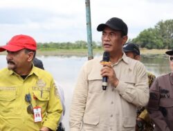 Menteri Pertanian Kunjungan Program Optimalisasi Lahan dan Cetak Sawah Baru di Batola