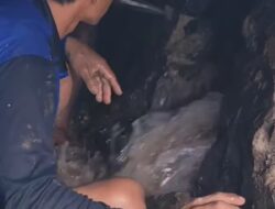 Kebocoran Pipa Transmisi di Jalan Bina Murni, Distribusi Sementara Dihentikan