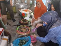 Lisa Halaby Apresiasi Usaha Mikro Kecil dan Menengah di Kota Banjarbaru