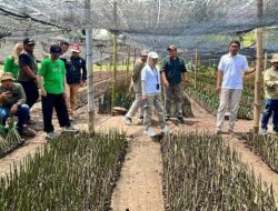 Dinas Kehutanan Kalimantan Selatan Kunjungi Persemaian Penunggul Mangrove Park