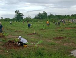 Rimbawan Dinas Kehutanan Kalsel Tanam Seribu Bibit Mangga di Cempaka