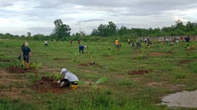 Rimbawan Dinas Kehutanan Kalsel Tanam Seribu Bibit Mangga di Cempaka