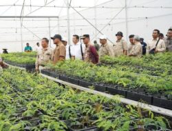 Wakil Menteri Kehutanan RI Kunjungi Persemaian Liang Anggang