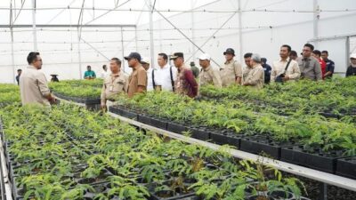 Wakil Menteri Kehutanan RI Kunjungi Persemaian Liang Anggang