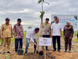 Menteri Lingkungan Hidup dan Gubernur Kalsel Tanam Pohon Anglai di Central Park Batulicin