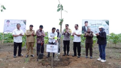 Menteri Lingkungan Hidup dan Gubernur Kalsel Tanam Pohon Penghijauan di Kawasan Central Park Batulicin