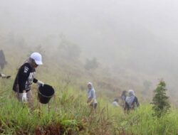 Musim Hujan Tiba, Dinas Kehutanan Kalsel Tanam Pohon di Gunung Pamaton Mandiangin