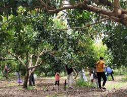Cetak SDM Pertanian Unggul, SMKPP Negeri Kementan Kembangkan Agroeduwisata