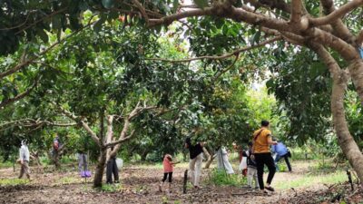 Cetak SDM Pertanian Unggul, SMKPP Negeri Kementan Kembangkan Agroeduwisata