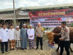 Jelang Haul ke 219, Polda Kalsel Sumbangkan 3 Ekor Sapi