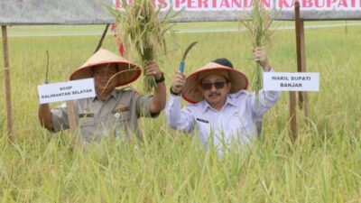 Wabup Banjar Panen Raya Padi Serentak Bersama Presiden Prabowo