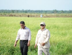 Mentan: Terima Kasih Kepada Petani dan Stakeholders Atas Capaian Spektakuler 4 Juta Ton Cadangan Beras