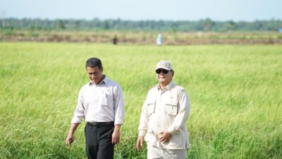 Mentan: Terima Kasih Kepada Petani dan Stakeholders Atas Capaian Spektakuler 4 Juta Ton Cadangan Beras