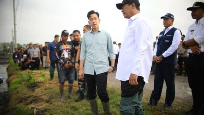 Wapres Gibran dan Mentan Amran Kompak Tanam Padi di Ngawi, Dorong Produksi dan Dukung Kebutuhan Petani