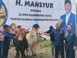 Ketua DPW Partai Nasdem Kalsel Distribusi 601 Ekor Hewan Kurban