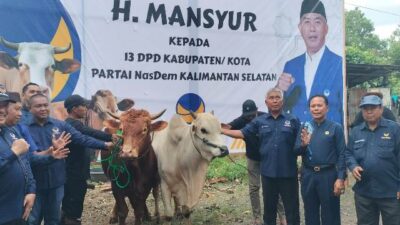 Ketua DPW Partai Nasdem Kalsel Distribusi 601 Ekor Hewan Kurban
