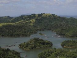 Penetapan Geopark Meratus Sebagai Unesco Global Geopark