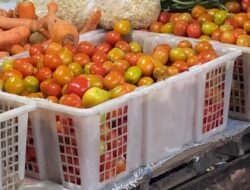 Harga Tomat Di Pasar Martapura Melambung Tinggi