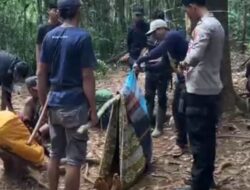 Tak Mampu Berjalan, Pendaki Asal Kota Banjarmasin Dievakuasi