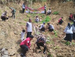 Program Destana 2025, Penanaman 500 Bibit Pohon di Desa Gunung Batu