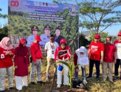 Aksi Penanaman Pohon di Kawasan BPSBP Kalsel Sebagai Pelestarian Lingkungan