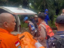 Tim SAR Gabungan Kumpulkan Delapan Korban Helikopter Jatuh