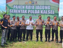 Kolaborasi Dukung Program Ketahanan Pangan di Kalsel, SMK PP Negeri Banjarbaru dan Polres Banjarbaru Panen Jagung