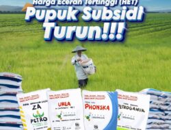 Kado Manis Setahun Kinerja Kabinet Merah Putih, Harga Pupuk Turun 20 Persen