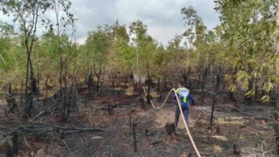 Kesiapsiagaan Karhutla di Kalsel Tetap Dilakukan Meski Status Darurat Dicabut