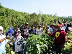 Ketahanan Pangan Daerah; Panen Perdana Komoditas Pangan dan Hortikultura di Bukit Merangkul Banjarbaru