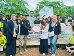 Tingkatkan Pengetahuan Siswa, SMK PP Negeri Banjarbaru Kunjungi Petani Sukses di Hidroponik dan Pepaya